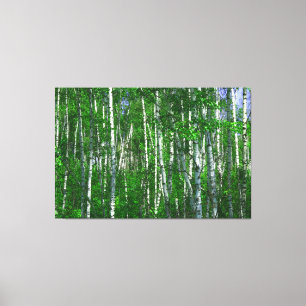 Lienzo BOSQUE BLANCO 40x60
