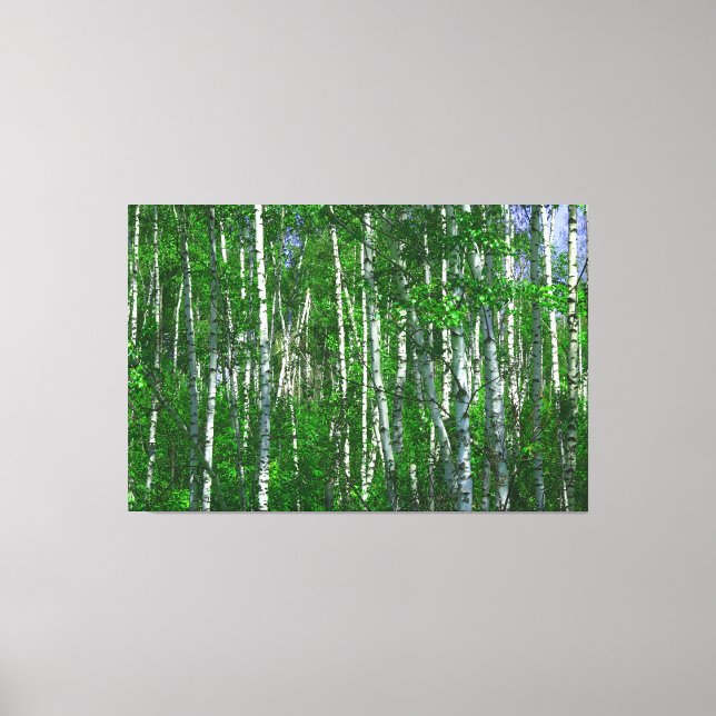Lienzo BOSQUE BLANCO 40x60 (Anverso)