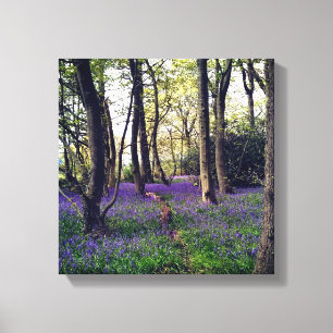 Lienzo Bosque Bluebells Floral elegante Belleza
