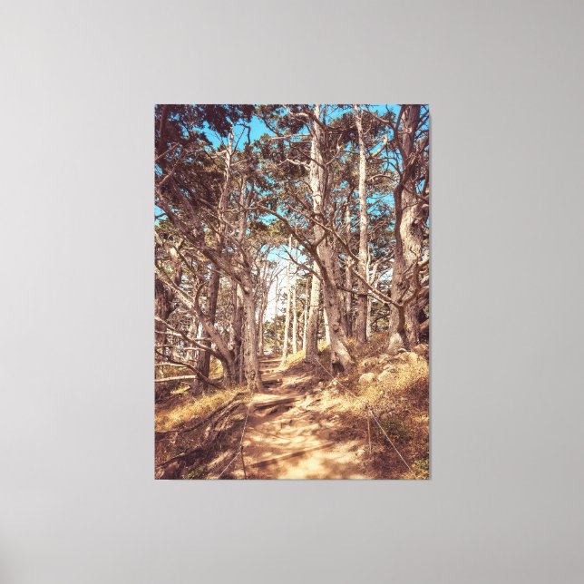 Lienzo Bosque Cypress (Anverso)