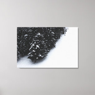 Lienzo Bosque de abetos negros y blancos y nieve