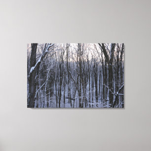 Lienzo Bosque de árboles nevados