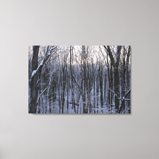 Lienzo Bosque de árboles nevados