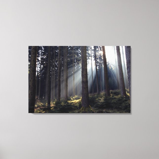 Lienzo Bosque de Baviera (Anverso)