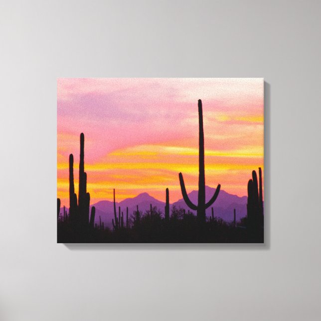 Lienzo Bosque de Cactus Saguaro al atardecer (Anverso)