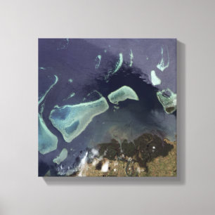 Lienzo Bosque de color verde oscuro en tierra