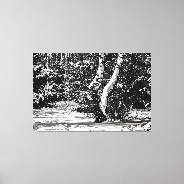 Lienzo Bosque De Invierno, Nieve, Birch Y Árboles Sprucen (Anverso)
