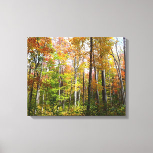 Lienzo Bosque de otoño I Fotografía de paisaje de otoño