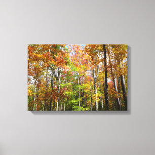 Lienzo Bosque de Otoño II Fotografía de paisaje otoñal