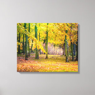 Lienzo Bosque de otoño mágico