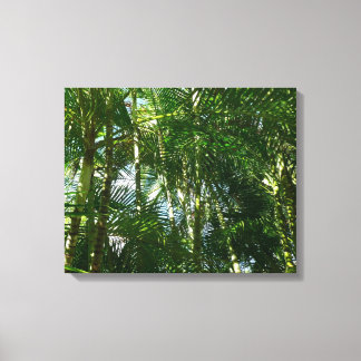 Lienzo Bosque de palmeras Naturaleza tropical