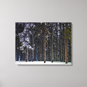 Lienzo Bosque de pinos con nieve-Chipre