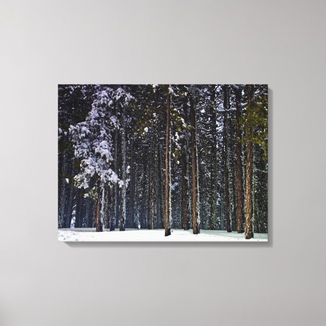 Lienzo Bosque de pinos con nieve-Chipre (Anverso)