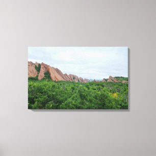 Lienzo Bosque del valle de Roxborough y formaciones rocos