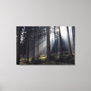 Lienzo Bosque en Baviera