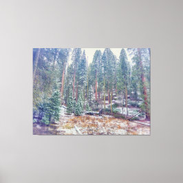 Lienzo Bosque en invierno