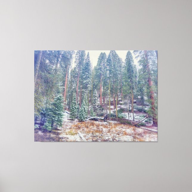 Lienzo Bosque en invierno (Anverso)