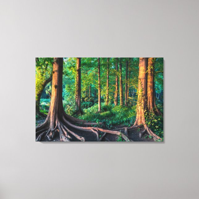 Lienzo Bosque en verano (Anverso)