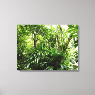 Lienzo Bosque lluvioso dominicano I Naturaleza tropical v