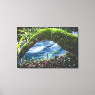 Lienzo Bosque mágico encantado