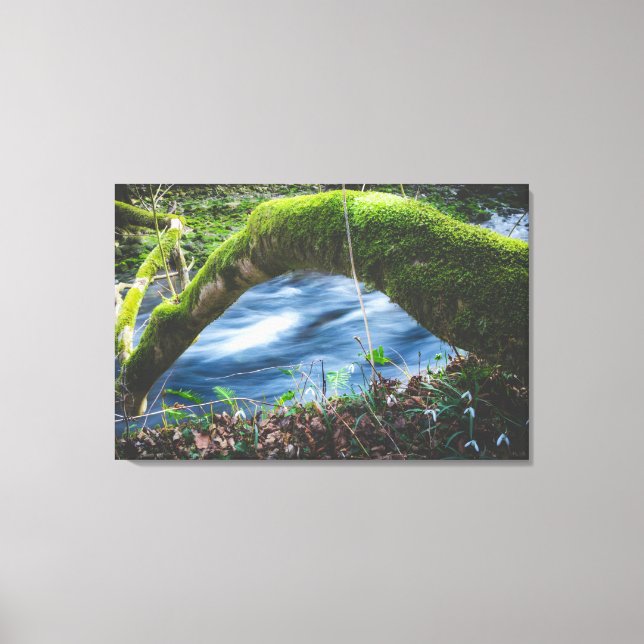 Lienzo Bosque mágico encantado (Anverso)