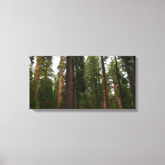 Lienzo Bosque Mariposa en el Parque Nacional Yosemite