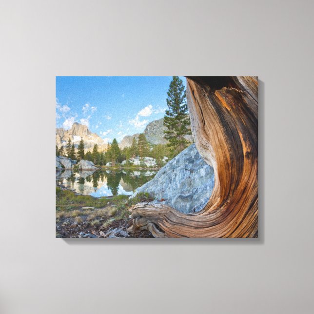 Lienzo Bosque Nacional Inyo, California (Anverso)