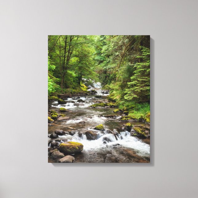 Lienzo Bosque Nacional Siuslaw | Sweet Creek (Anverso)