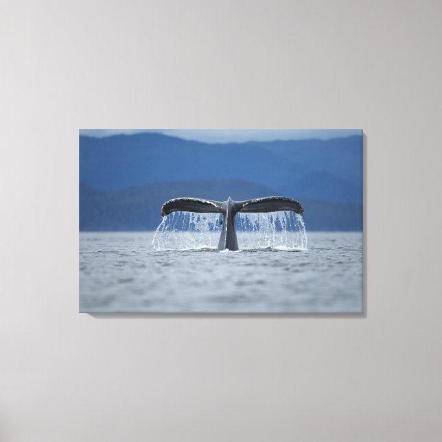 Lienzo Bosque Nacional Tongass, Humpback (Anverso)