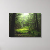 Bosque peligroso