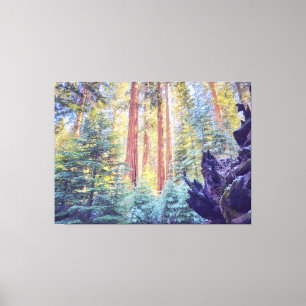 Lienzo Bosque Sequoia