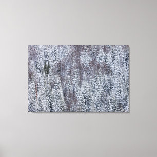 Lienzo Bosque Snowy, Parque Nacional del Monte Rainier