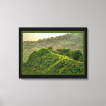 Bosque Verde En La Colina