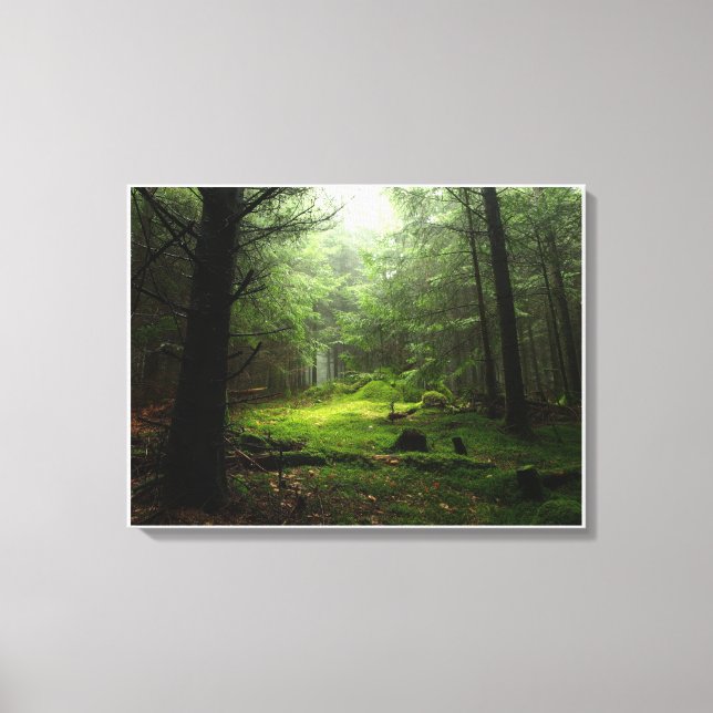 Lienzo Bosques | Auvergne France (Anverso)
