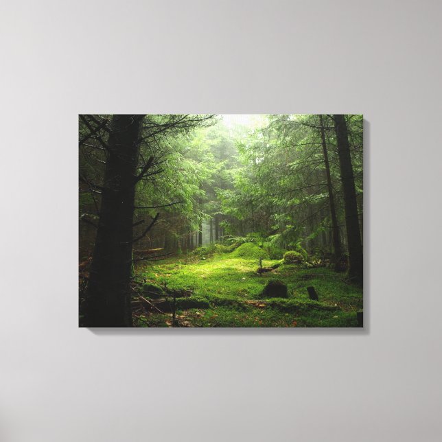 Lienzo Bosques | Auvergne France (Anverso)