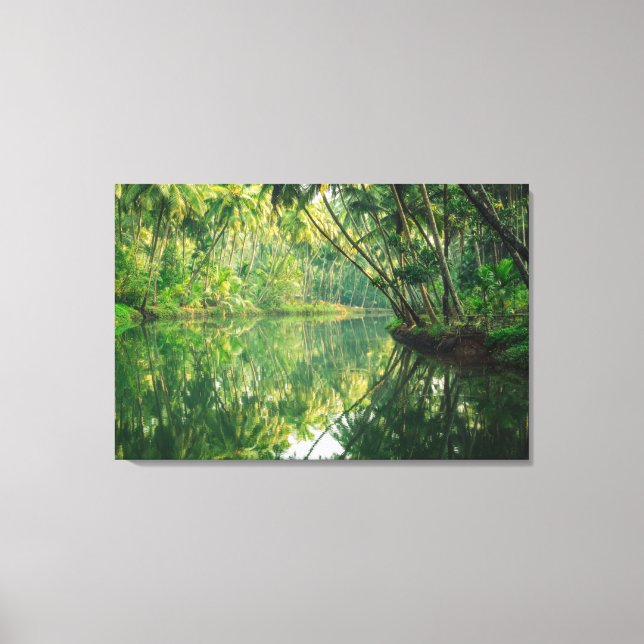 Lienzo Bosques | Bosque de manglares (Anverso)