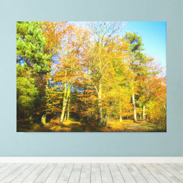 Lienzo Bosques de otoño y sol -