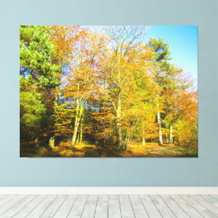 Lienzo Bosques de otoño y sol -