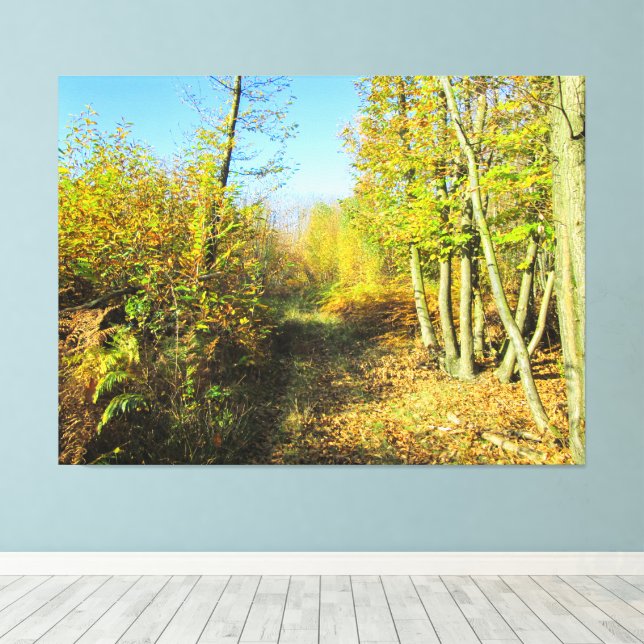 Lienzo Bosques iluminados por el sol en otoño - (Insitu (piso de madera))