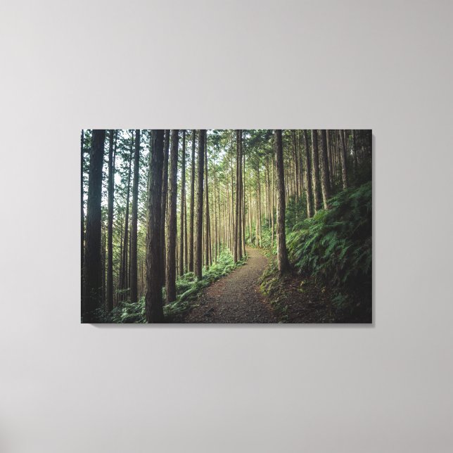 Lienzo Bosques | Montañas de Wakayama Japón (Anverso)