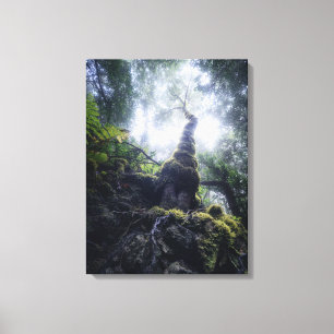 Lienzo Bosques   Parque rural de Anaga Islas Canarias