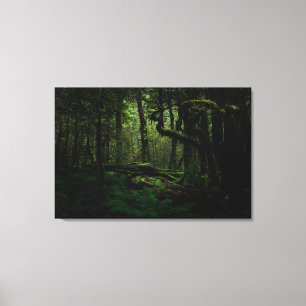 Lienzo Bosques Routeburn Track Fiordland Parque naciona