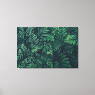 Lienzo Bosques Woodland Ferns