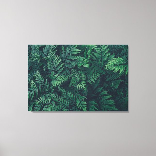 Lienzo Bosques | Woodland Ferns (Anverso)