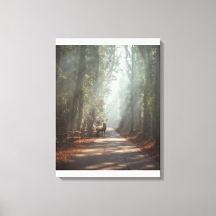 Lienzo Bosques Woodland Stag