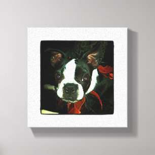 Lienzo Boston Terrier blanco y negro