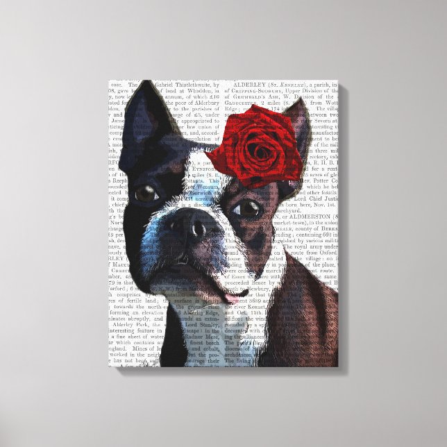 Lienzo Boston Terrier con Rosa en la cabeza (Anverso)