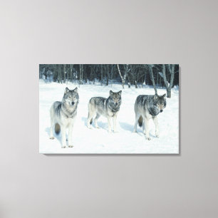 Lienzo Bote de lobos al borde de un bosque nevado