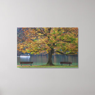 Lienzo Bote en un lago en otoño, Alemania