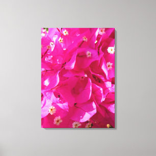 Lienzo Bougainvillea